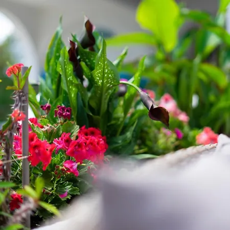 Maison d'hôtes Black Pearl