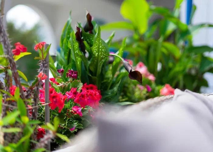 Gasthuis Black Pearl